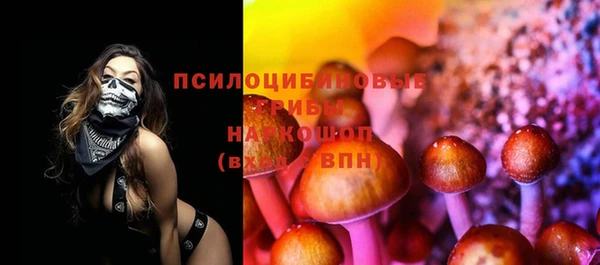 молекула духа Богородск