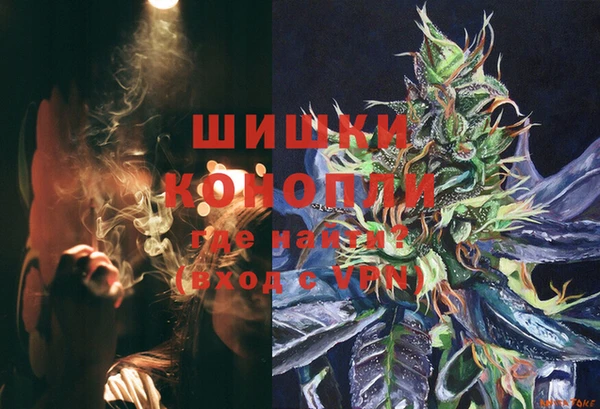 mdpv Богданович