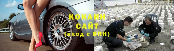 mdpv Богданович